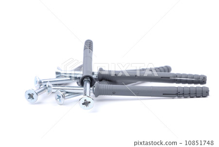 Screws and dowels isolated on white background 10851748