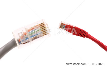 Two differrent network cables. 10851879