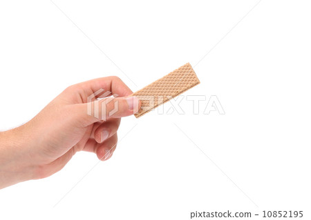 Hand holds wafer of chocolate. 10852195