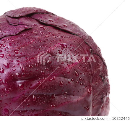 Close up of half red cabbage. 10852445
