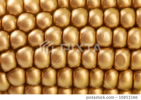 Background of golden indian corn. Close up. Background of golden indian corn. Close up. 10853166