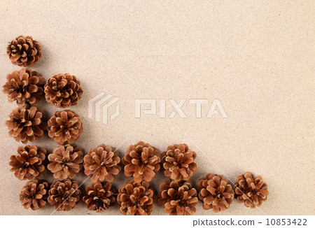 Frame of pine cones arranged on the sand Frame of pine cones arranged on the sand 10853422