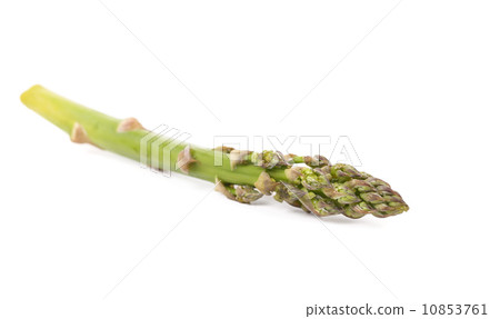Fresh asparagus spear 10853761