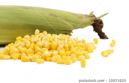 Closed corncob and corn kernels 10853820