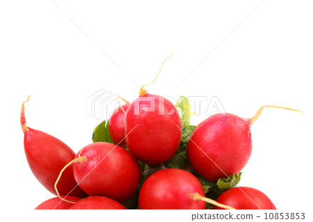 Small garden radish. Small garden radish. 10853853