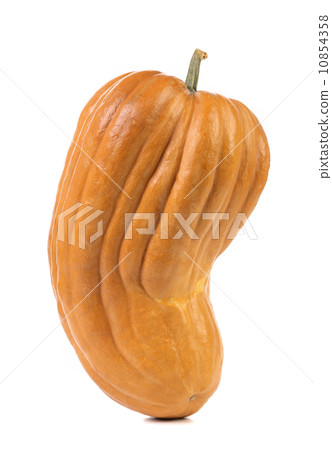 Fresh orange pumpkin 10854358