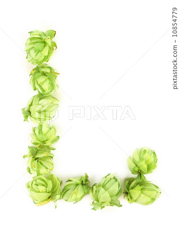 Hop flowers laid in form of letter L. 10854779