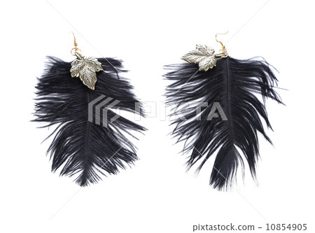 Pair of women's earrings their feathers Pair of women's earrings their feathers 10854905