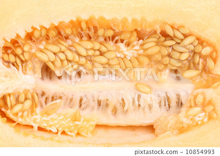 Close up of a melon on the inside 10854993