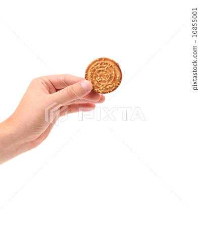 Hand holds sesame cake 10855001