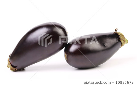 Two black eggplants isolated on white Two black eggplants isolated on white 10855672