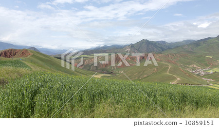 china qinghai qilian 10859151