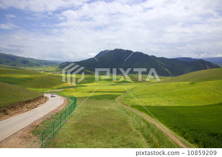 Qilian mountain landscapes Qilian mountain landscapes 10859209