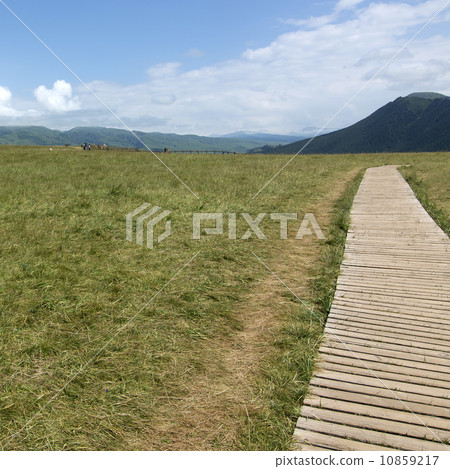 Grassland corridor Grassland corridor 10859217