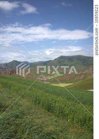Barley Mountains Barley Mountains 10859223