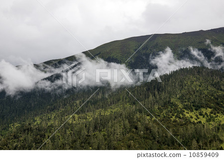 Woods clouds Woods clouds 10859409