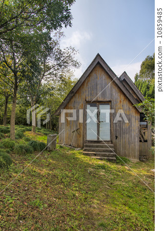 Forest huts Forest huts 10859485