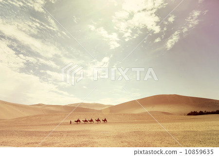 Bucolic horse Bucolic horse 10859635