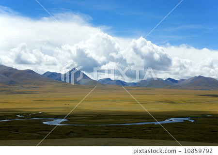 Grass River Snow Grass River Snow 10859792