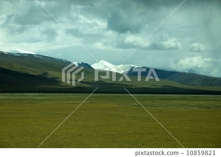 Mountain meadow in Tibet Mountain meadow in Tibet 10859821