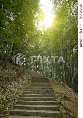 Bamboo Road, Hangzhou Bamboo Road, Hangzhou 10859880