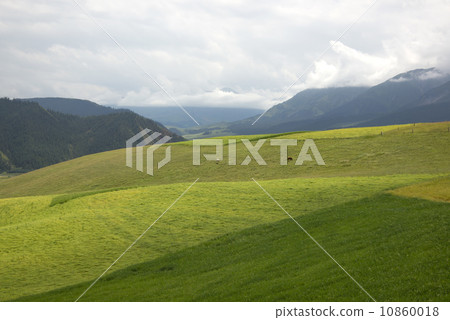 Beautiful mountain pastoral Beautiful mountain pastoral 10860018
