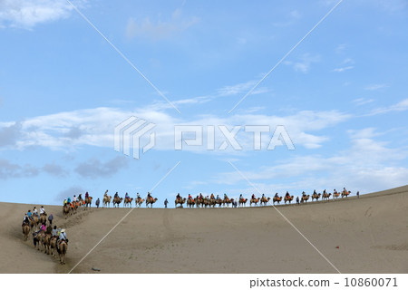 Desert camel walking in the Chinese Dunhuang. 10860071