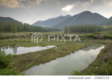 Woods Pond 10860119