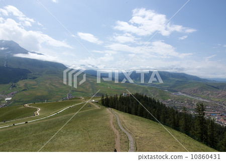 china qinghai qilian 10860431