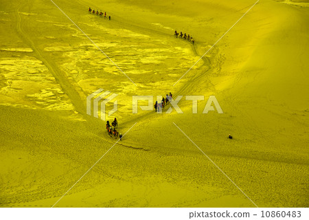 Desert camel 10860483