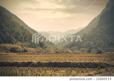 Retro woods Mountains 10860514