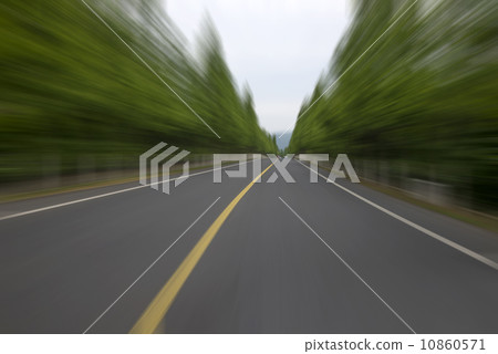 Woods road 10860571