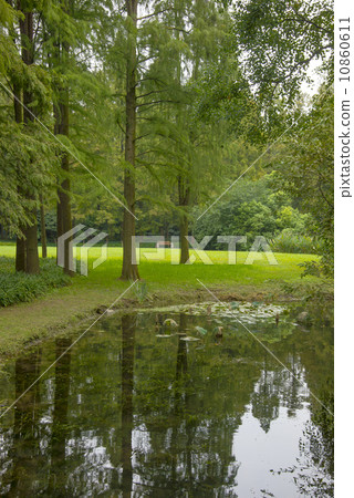 Woods lakes 10860611