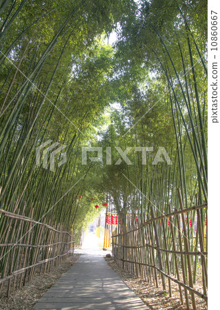 Bamboo Trail Bamboo Trail 10860667