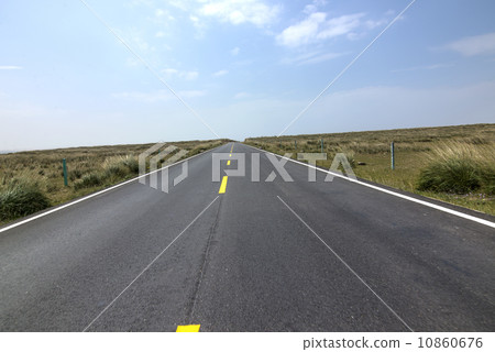 Arid grasslands road 10860676