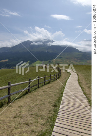 china qinghai qilian 10860874