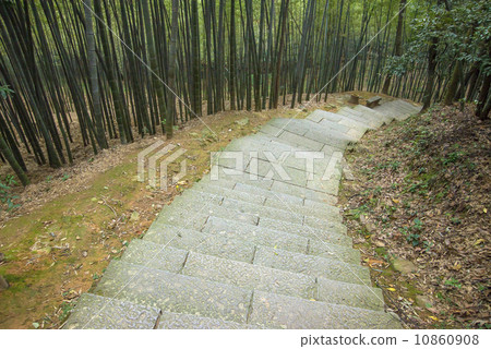 Bamboo forest trail in Hangzhou, China 10860908