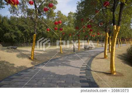 Parks and corridors of trees 10861073
