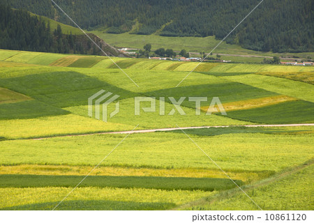 Autumn field Autumn field 10861120