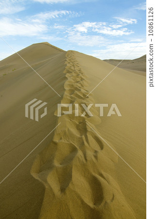 Desert footprints leading to success 10861126