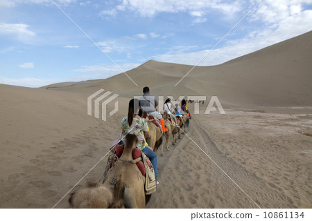 DUNHUANG, CHINA-August 22: camels walking in the Mingsha sand dunes mountain on August 22, 2013 in Dunhuang, China. 10861134