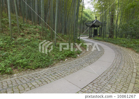 China Hangzhou Bamboo Pavilion 10861267