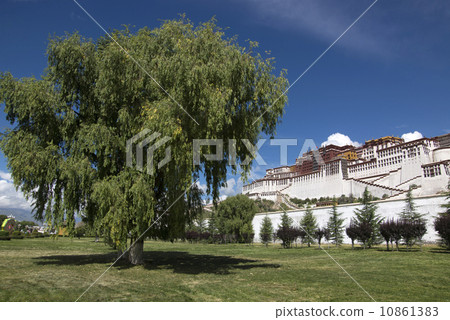 Potala palace in Lhasa, Tibet Potala palace in Lhasa, Tibet 10861383