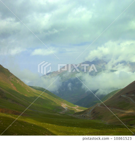 Prairie Mountain Sheep Prairie Mountain Sheep 10861523