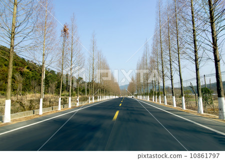 Neat cedar and highways Neat cedar and highways 10861797
