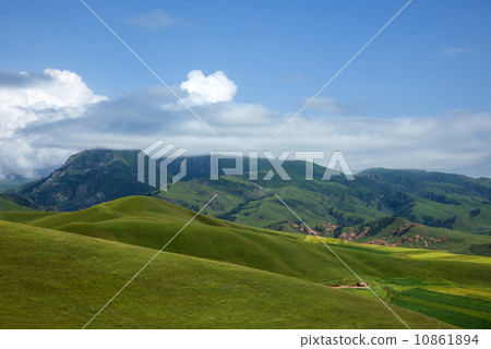 Mountain meadow Mountain meadow 10861894