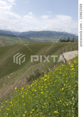 Meadow Mountains 10862089