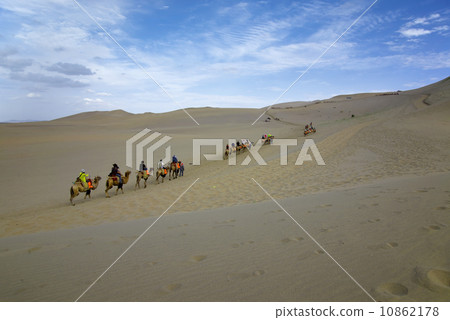 Desert camel Desert camel 10862178