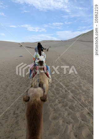 DUNHUANG, CHINA-August 22: camels walking in the Mingsha sand dunes mountain on August 22, 2013 in Dunhuang, China. 10862219