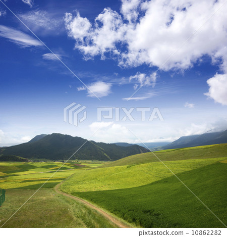 Beautiful mountain pastoral 10862282